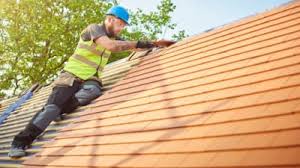 Best Rubber Roofing (EPDM, TPO)  in Wyoming, DE