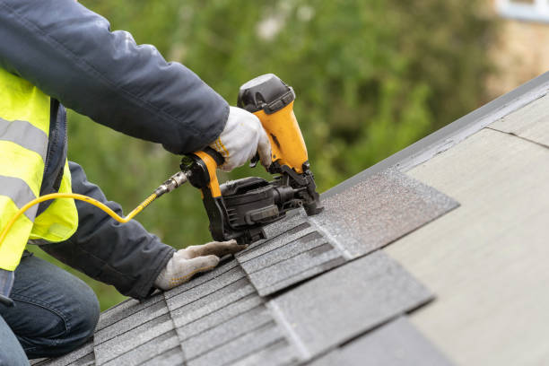 Best Solar Panel Roofing Installation  in Wyoming, DE