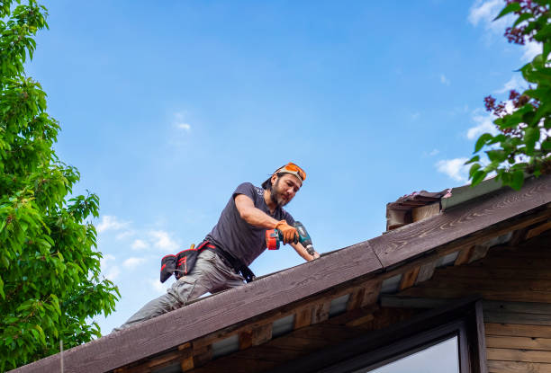 Best Metal Roofing Installation  in Wyoming, DE
