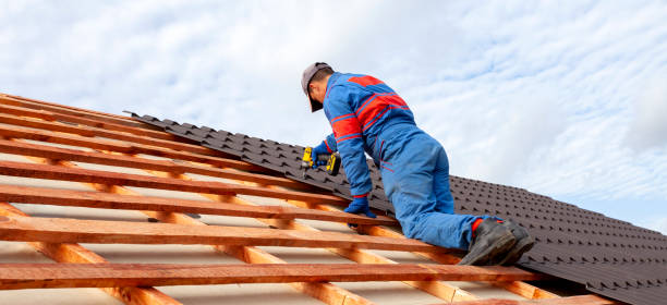 Best Rubber Roofing (EPDM, TPO)  in Wyoming, DE