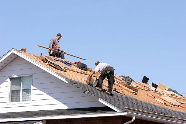 Best Rubber Roofing (EPDM, TPO)  in Wyoming, DE