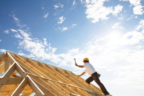 Best Roof Maintenance and Cleaning  in Wyoming, DE